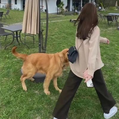 真假三莎伦